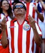 Imagen del perfil