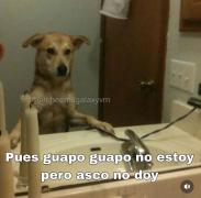 Imagen del perfil