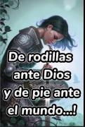 Imagen del perfil