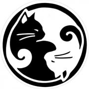 Imagen del perfil