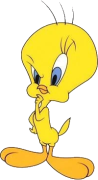 Imagen del perfil