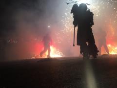 Imagen del perfil