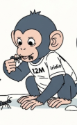 Imagen del perfil