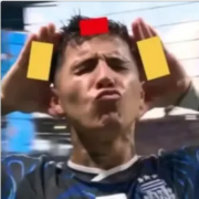 Imagen del perfil