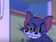 Imagen del perfil