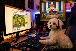 Imagen del perfil