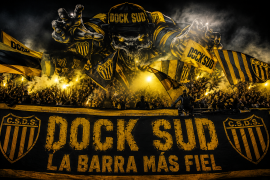 Imagen del perfil
