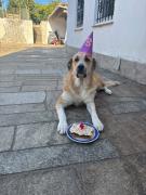 Imagen del perfil