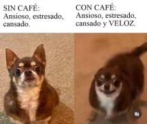 Imagen del perfil