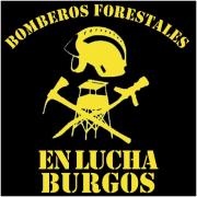 Imagen del perfil