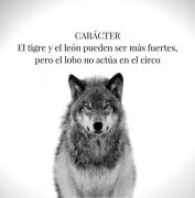Imagen del perfil
